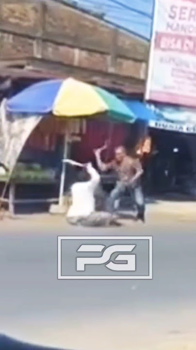 DUA PREMAN BERSAJAM BAKU HANTAM