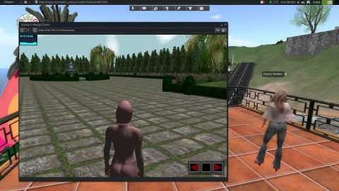 WebGL viewer in Black Dragon viewer