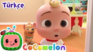JJ ve Köpeğim Bingo Şarkısı 🐶 CoComelon Türkçe | Çizgi Film | Bebek Şarkıları
