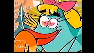 Scaredy Squirrel - Intro On Disney Channel La July 2013, Totally Real And Rare, Remake