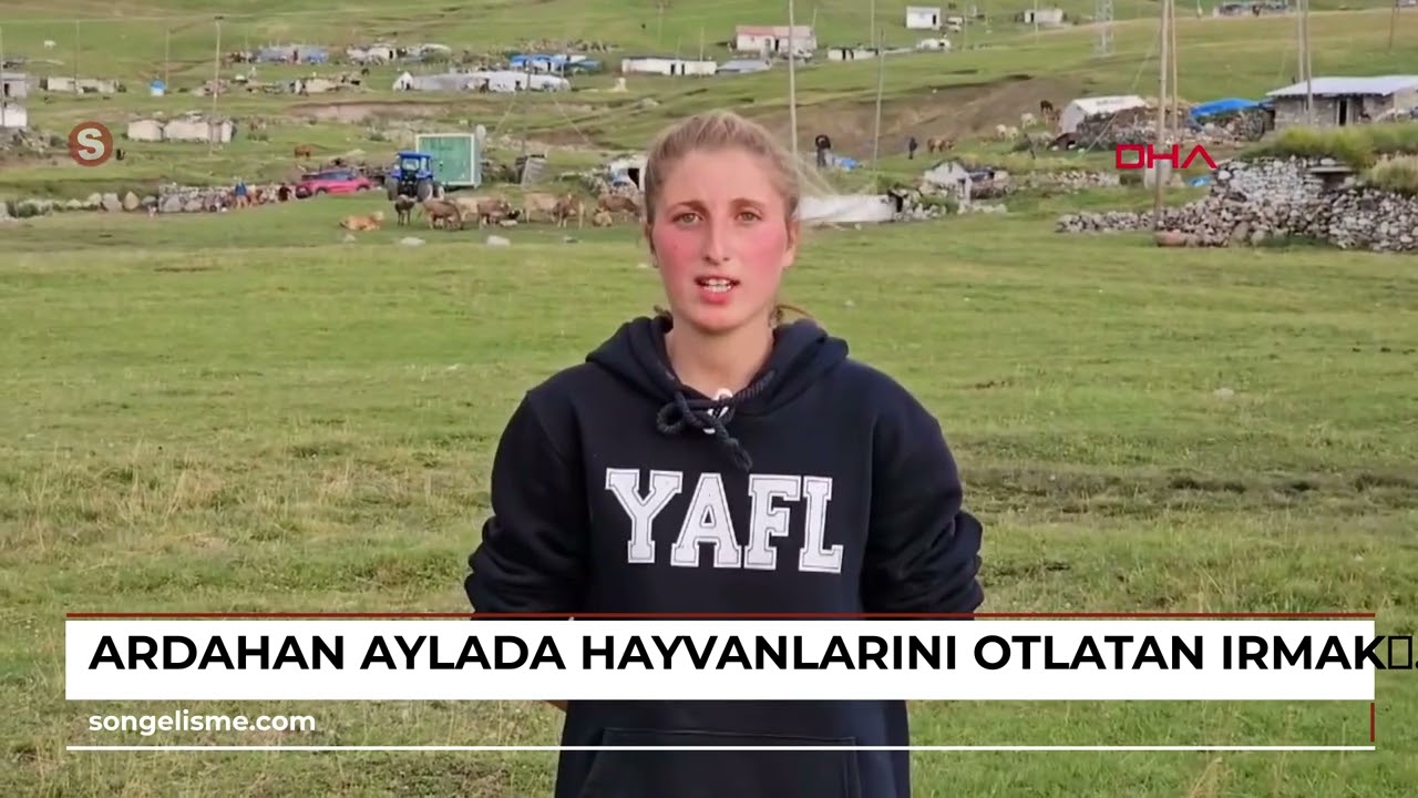 ARDAHAN aylada hayvanlarını otlatan Irmak’ın hayali futbolcu olmak (VİDEO EKLENDİ)