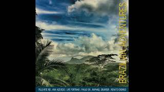 12   Brazilian Adventures   Samba bass concert   Lipe Portinho