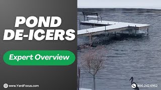 Pond De Icers Expert Overview