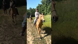 From our trail ride yesterday ❤️ we cantered and galloped !! That’s my friend behind me #galloping