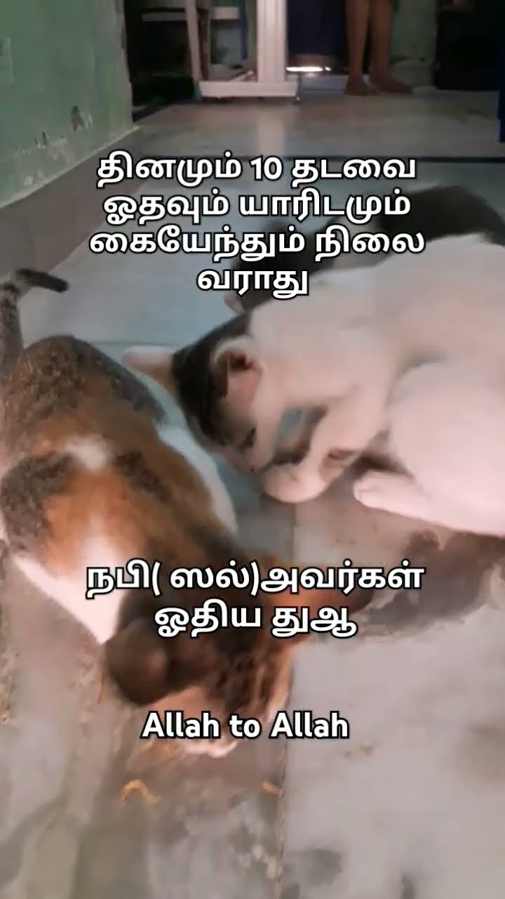 🤲இஸ்லாமிய துஆ - ShareChat