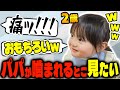 パパが猫に噛まれるのが面白くて仕方がないしずく【2歳】
