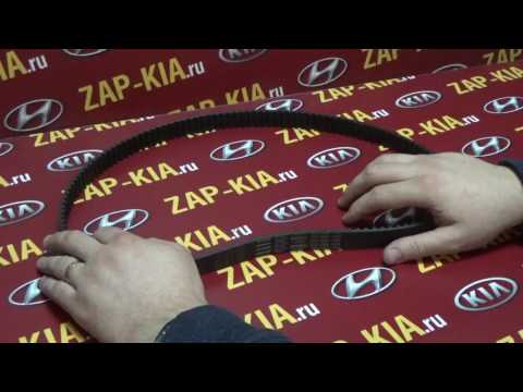 Ремень ГРМ Kia Spectra 1.6 S6D. Kia Rio 1.5 A5D