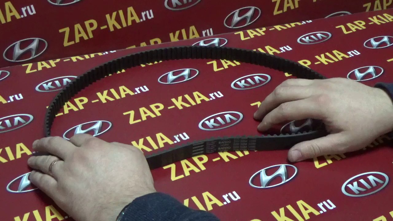 Ремень грм kia rio