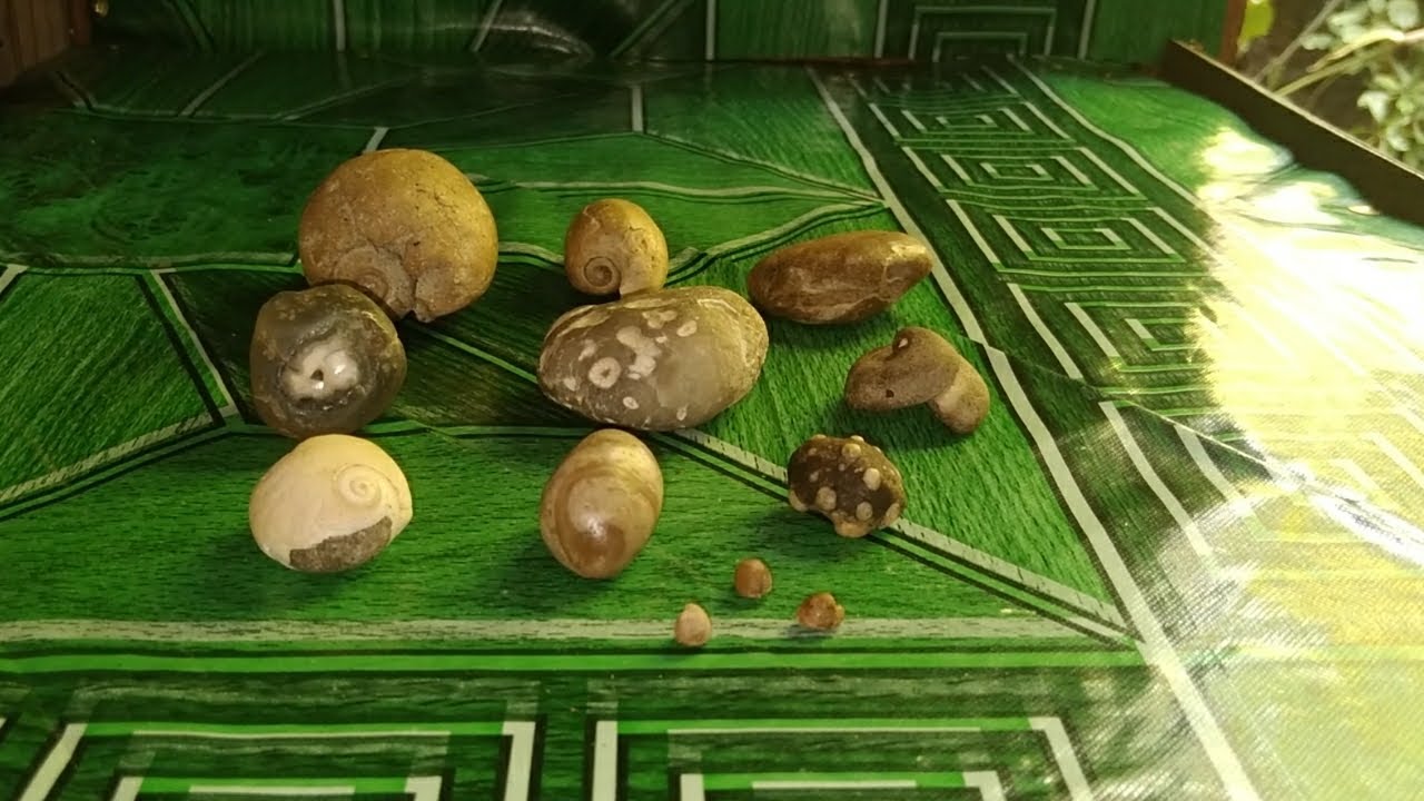 Lhoy Agimat # 607 Mga uri Mutya ng tubig  nakuha ko sa ibat- ibang lugar  galing sa tubig