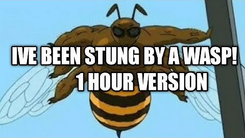 IVE BEEN STUNG BY A WASP! - 1 HOUR VERSION