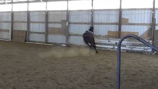 104_0019.MOV