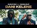 Alélé 224 Dani Kelene Ft Samalolo