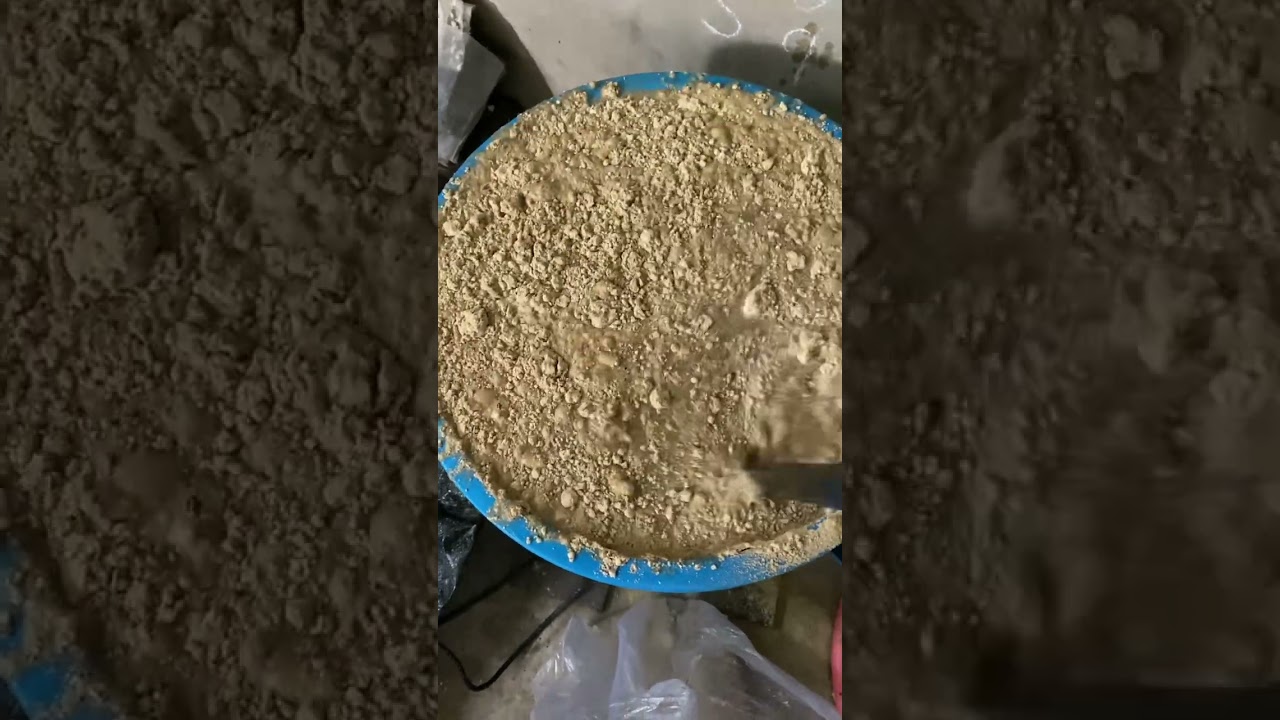 Thử nghiệm MEN VI SINH NHÀ YẾN - Ngon bổ rẻ