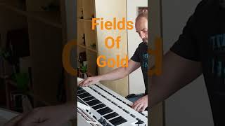 Fields Of Gold (Sting) Wersi OAX Orgel #ballad #instrumental