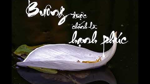 Học cách buông bỏ để có được cuộc sống bình yên