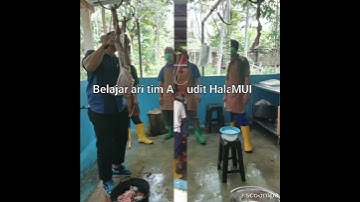 Aqiqah Jogja Profesional, paket aqiqah Jogja, Bantul, Sleman, Klaten, Magelang, Solo  (081222346099)