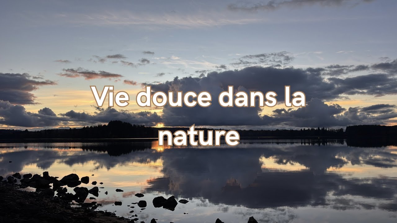 ❄️ Vie douce à la campagne, cuisine 📚, hiver doux et animaux 🐿️