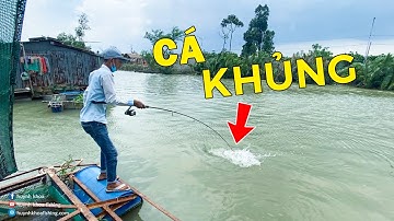 CÂU CÁ TRA MIỀN TÂY TRÊN SÔNG TIỀN