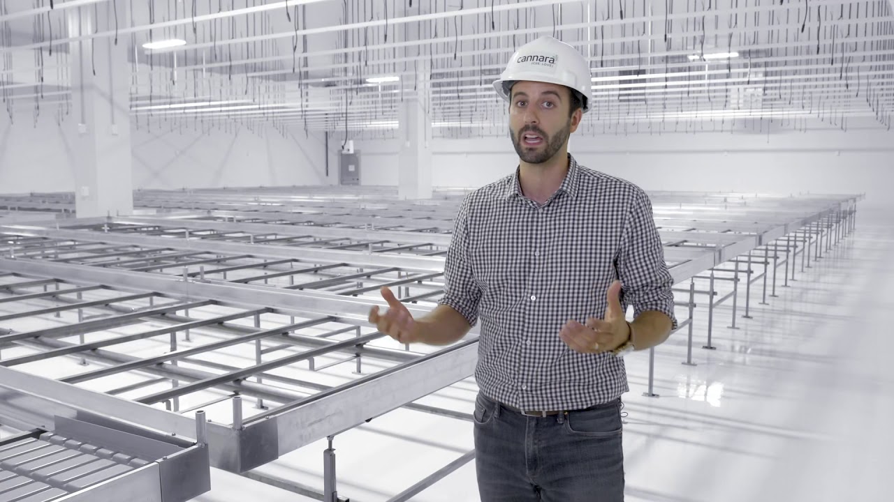 Cannara Biotech - First Visits - Flowering Room - French