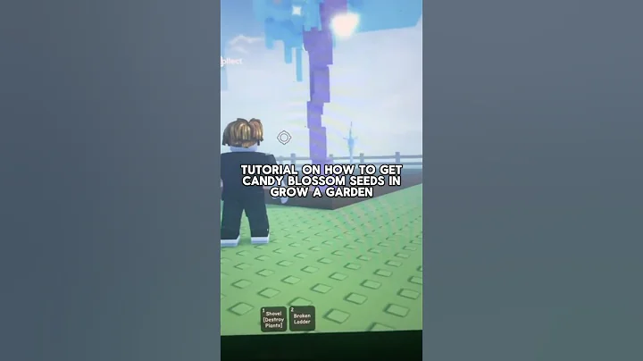 How To Get Candy Blossom Seeds in Grow A Garden (Glitch) #growagarden #roblox #candyblossom