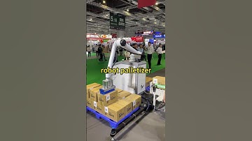 robot palletizer #robot  #cobot #palletizer