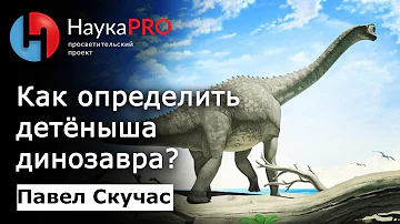 Чем отличаются детёныши динозавров от взрослого маленького динозавра? – Павел Скучас | Научпоп