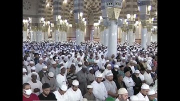 تلاوة سورة القيامة و البلد فضيلة الشيخ د. أحمد بن طالب من صلاة الفجر 23 ذو القعدة 1445هـ