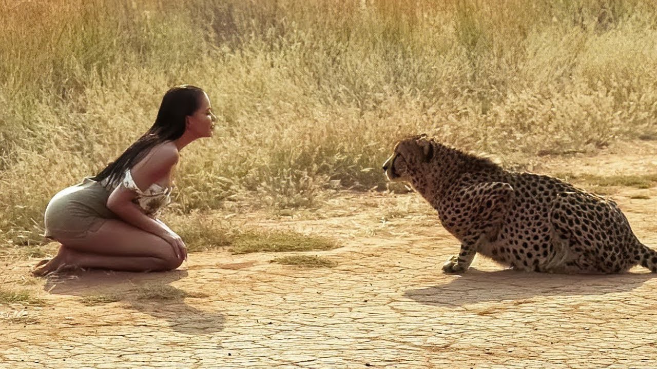 EMOTIVOS REENCUENTROS DE ANIMALES CON SUS DUE�OS DESPU�S DE A�OS