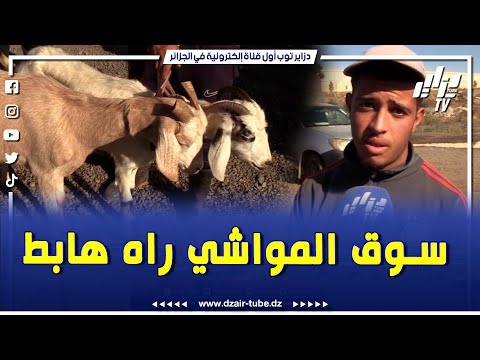 شاهد عندي زوج معزات وحدة 33 و وحدة 25 و السوق راه هابط هذا ما قالته موال بسوق البليدة