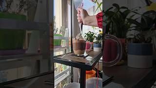 How To Make A Hazelnut Cream Hot Chocolate