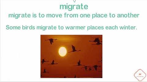 G5 Vocabulary Reading Wonders Unit 2 Week 3