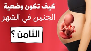 حوامل شهر 8 شاهدي كيف تكون وضعية الجنين في الشهر الثامن !