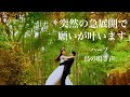【突然の急展開】10分聴き流しで今までどんなに願っても叶わなかった願い事が急に叶い始めるポジティブエネルギーヒーリング音楽 💗ハープ・鳥の鳴き声