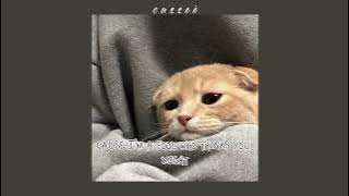 Nataniel Constantin - Why Can't I (why can't I being your mine, why can't I being your life) lyrics