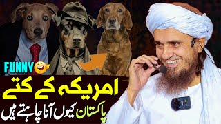 America Ke Kutte Pakistan Kyu Aana Chahte Hain | Mufti Tariq Masood Special | Funny Kutte ka Waqia