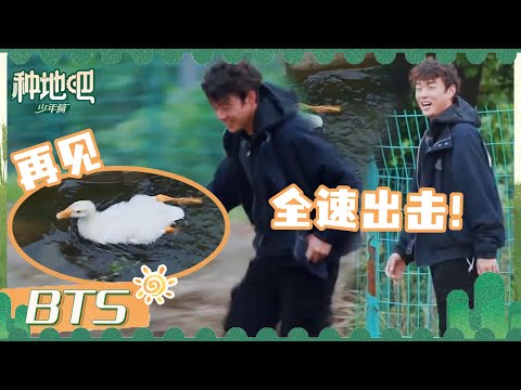 陈少熙手忙脚乱四处抓鹅 赵小童水沟里捞鸡一捞一个准 | 种地吧 EP42未播 | Become a Farmer | iQIYI综艺