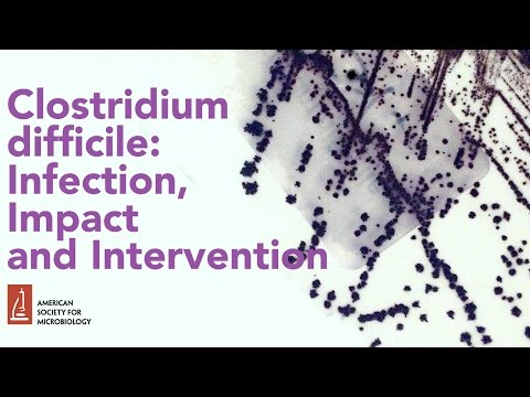 Video: Dinamika Mikrobioma Tinja Pada Pasien Dengan Infeksi Clostridium Difficile Berulang Dan Tidak Berulang