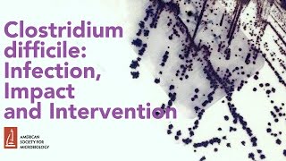 Clostridium difficile: Infection, Impact and Intervention by Michael Miller, PhD