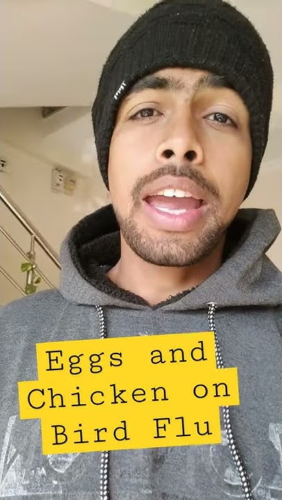 Can We Eat Eggs And Chicken On The Time Of Bird Flu YouTube can-we-eat-eggs-and-chicken-on-the-time-of-bird-flu-youtube