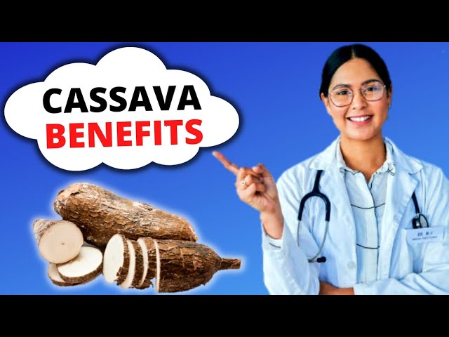 10 Impressive Health Benefits Of Cassava class=