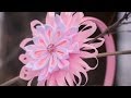 Цветы Канзаши Мастер Класс / DIY Kanzashi