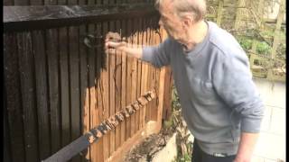 Paint and preserve your wooden garden fence with engine oil. We show you how to do it for free. Can help your fence last over 