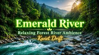 Emerald River • Relaxing Forest River Ambience | Morning Calm for Focus • Kwiet Drift screenshot 5