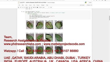 How to classify potato leaf disease using python ? | potato leaf disease | Python project