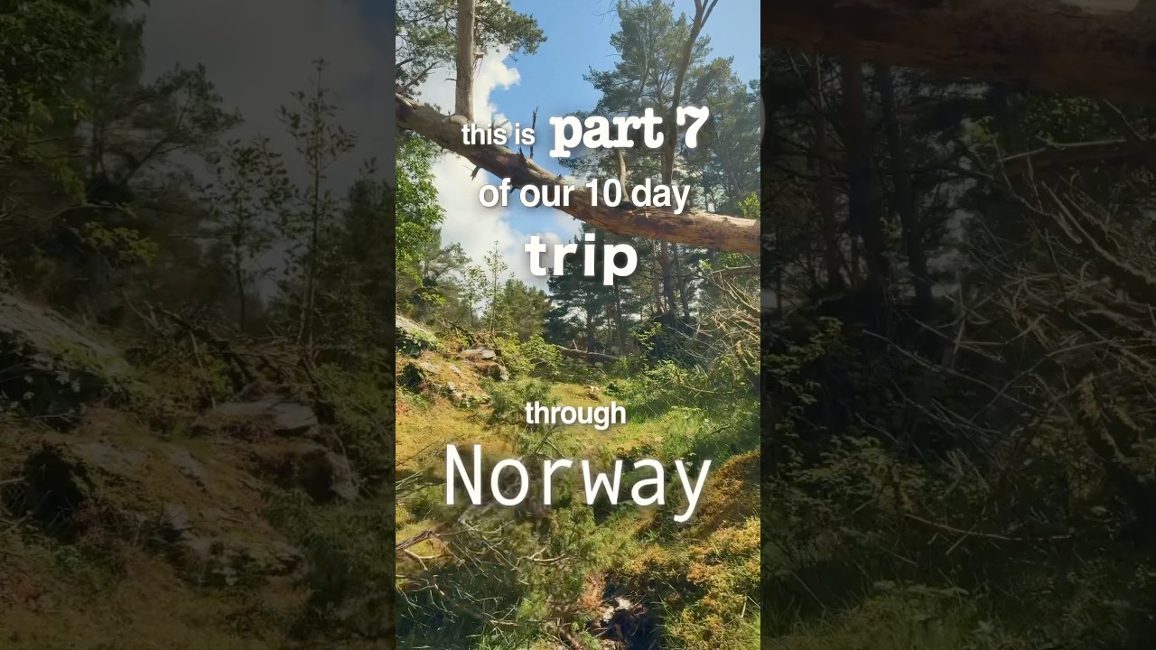 Norway with a rooftop tent #7 | iSkycamp mini 🌅