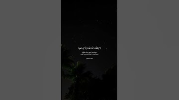 لَا يُكَلِّفُ اللهُ نَفْسًا إِلَّا وُسْعَهَا♡ #القرآن_الكريم #تلاوة_هادئة #إسلام_صبحي #تلاوة_مؤثرة