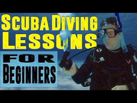 Video: Where To Learn Diving