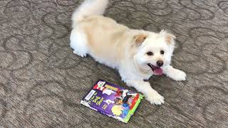 "Tails and Tales" Summer Reading PSA 2021