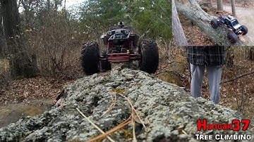HSP Crawler - Maiden Tree Climb