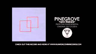 Miniatura de vídeo de "Pinegrove - "New Friends" (Official Audio)"